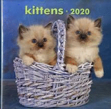 2020 CALENDARIO PARED GATITOS