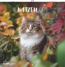 2026 CATS - CALENDARIO 30 X 30