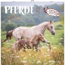 2026 HORSES - CALENDARIO 30 X 30