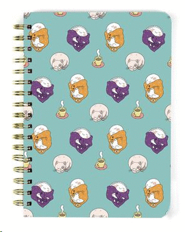 LIBRETA A5 CARTON CROQUETA Y EMPANADILLA