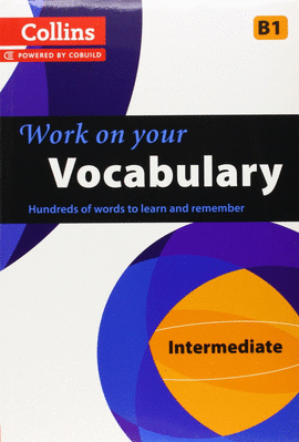 WORK ON YOUR VOCABULARY B1