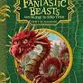 FANTASTIC BEASTS AND WHERE TO FIND THEM - HOGWARTS