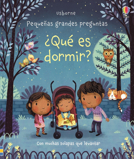 QU� ES DORMIR (PEQUE�AS GRANDES PREGUNTAS)