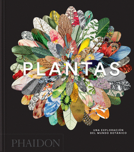 PLANTAS