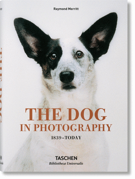 THE DOG IN PHOTOGRAPHY 1839�TODAY