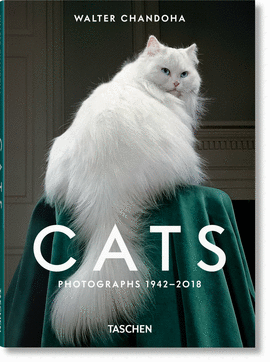 WALTER CHANDOHA CATS PHOTOGRAPHS (1942-2018)