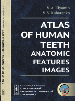 ATLAS OF HUMAN TEETH ANATOMIC FEATURES IMAGES