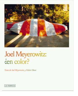 JOEL MEYEROWITZ:EN COLOR