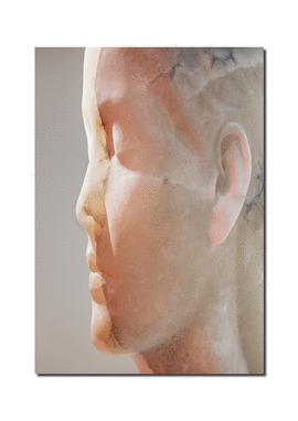 JAUME PLENSA INNER MATTER MATERIA INTERIOR