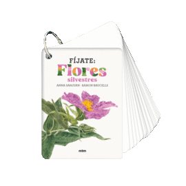 F�JATE FLORES SILVESTRES