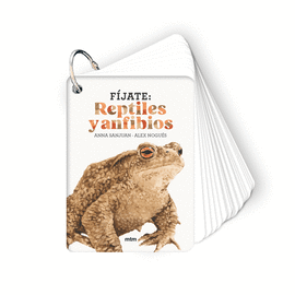 F�JATE REPTILES Y AMFIBIOS