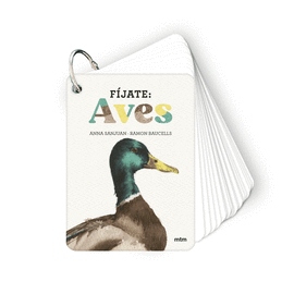 AVES