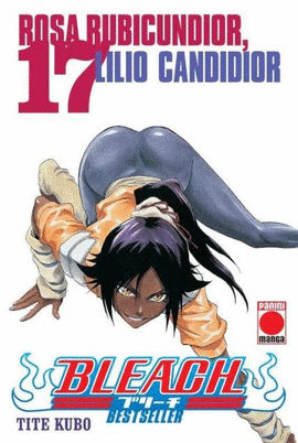 BLEACH (BESTSELLER) (17)