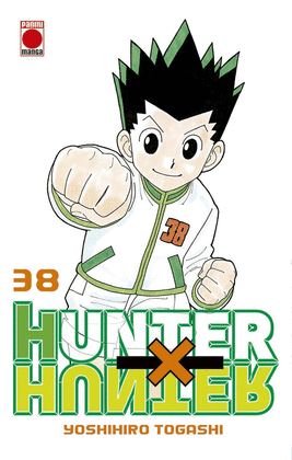 HUNTER X HUNTER (38)