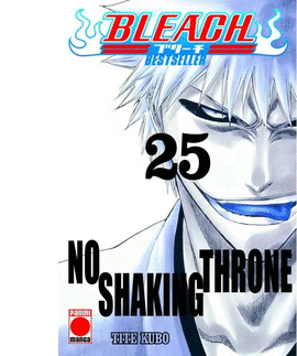 BLEACH BESTSELLER (25)
