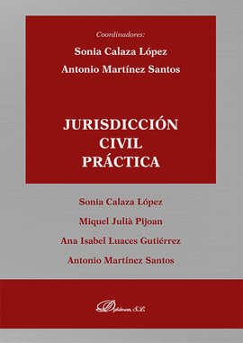 JURISDICCIN CIVIL PRCTICA
