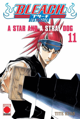 BLEACH (BESTSELLER) (11)