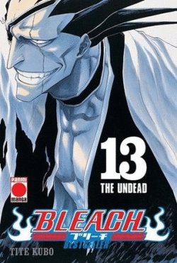 BLEACH (BESTSELLER) (13)
