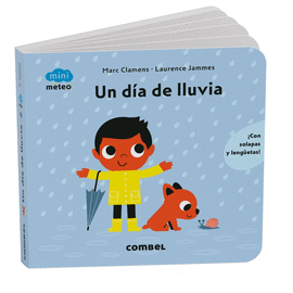 UN D�A DE LLUVIA