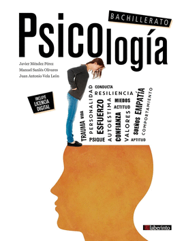PSICOLOGIA 2NB 23 FANFEST LABERINTO