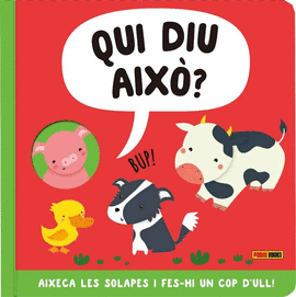 QUI DIU AIX�