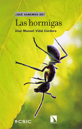 HORMIGAS