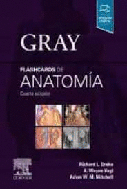 GRAY FLASHCARDS DE ANATOMA