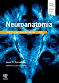 NEUROANATOM�A