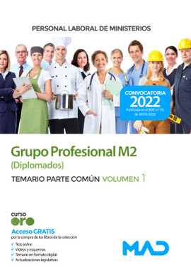 PERSONAL LABORAL DE MINISTERIOS GRUPO PROFESIONAL M2 DIPLOMADOS MINISTERIOS TEMARIO PARTE COM�N VOL 1