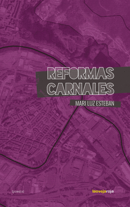 REFORMAS CARNALES