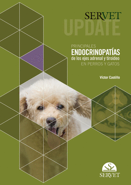 SERVET UPDATE. PRINCIPALES ENDOCRINOPATAS DE LOS EJES ADRENAL Y TIROIDEO EN PERROS Y GATOS