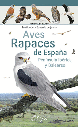 AVES RAPACES DE ESPA�A PEN�NSULA IB�RICA Y BALEARES