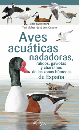 AVES ACUTICAS NADADORAS, RLIDOS, GAVIOTAS Y CHARRANES DE LAS ZONAS HMEDAS DE