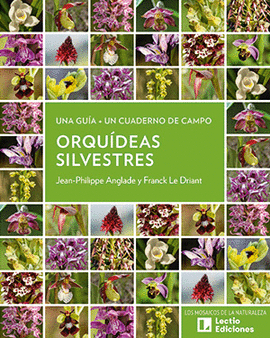 ORQUDEAS SILVESTRES