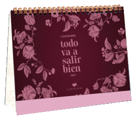 TODO VA A SALIR BIEN (2027)