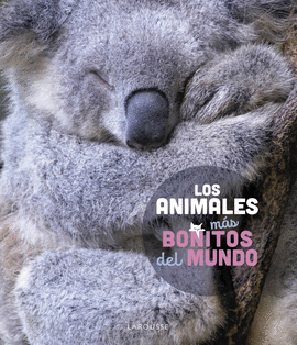 LOS ANIMALES M�S BONITOS DEL MUNDO