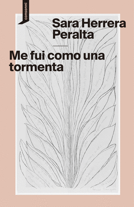 ME FU COMO UNA TORMENTA