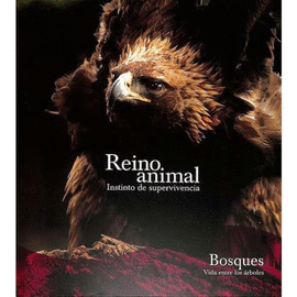 BOSQUES REINO ANIMAL