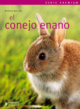 CONEJO ENANO