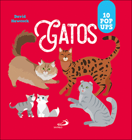 GATOS (10 POP-UPS)