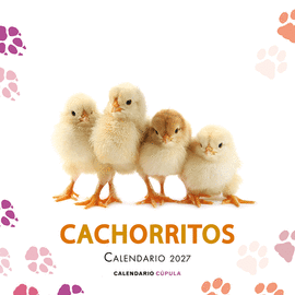 CACHORRITOS 2027 CALENDARIO