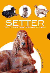 SETTER