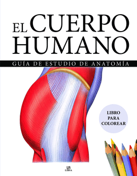 CUERPO HUMANO