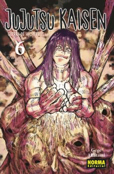 JUJUTSU KAISEN (6)