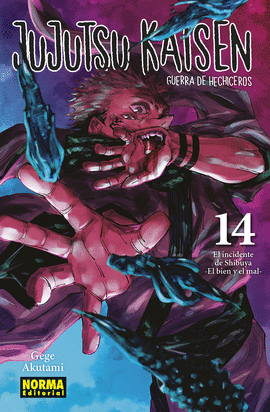 JUJUTSU KAISEN (14)