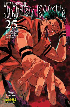 JUJUTSU KAISEN (25)