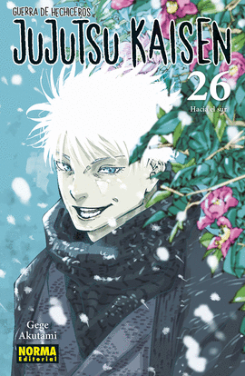 JUJUTSU KAISEN (26)