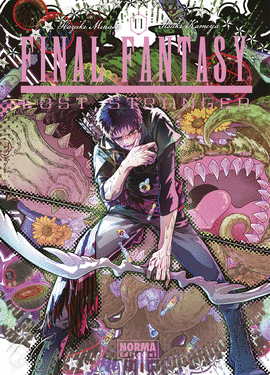 FINAL FANTASY LOST STRANGER (11)