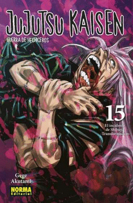 JUJUTSU KAISEN (15)