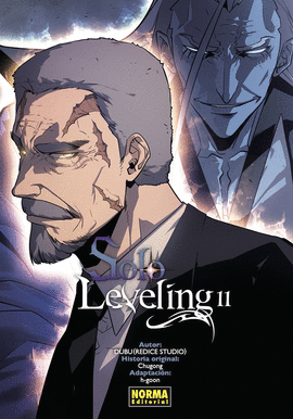SOLO LEVELING (11)